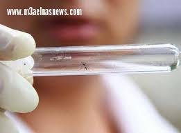 اكتشاف أول حالة إصابة بفيروس 